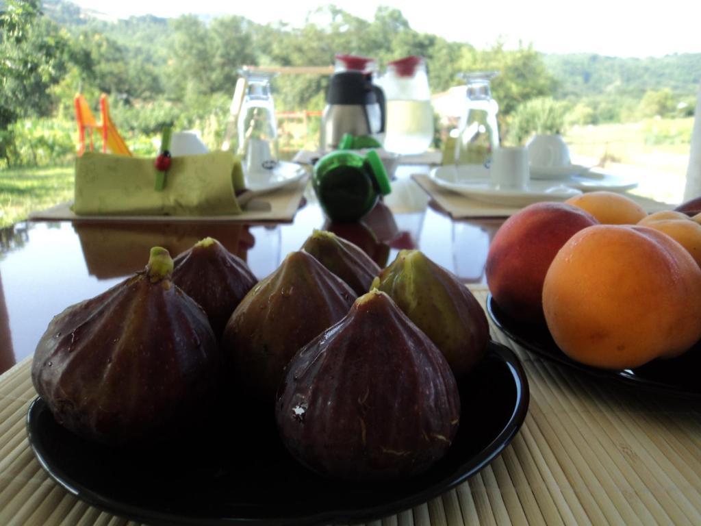 B&B Casa Vacanza Verzellino San Gregorio Magno Экстерьер фото